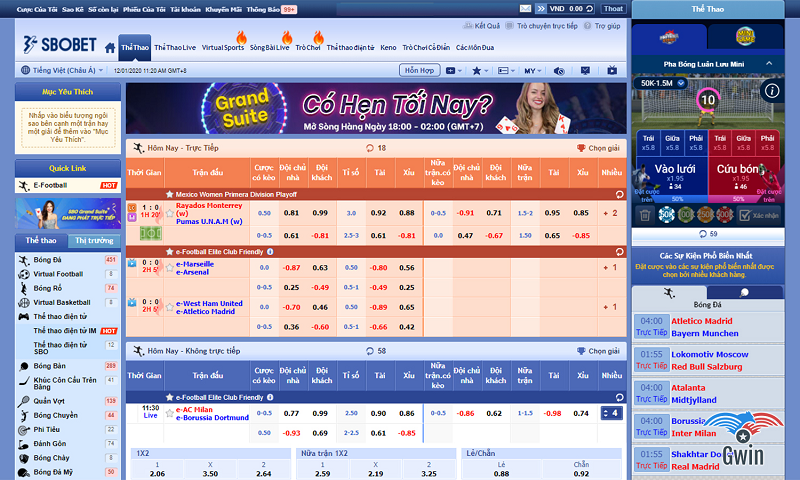 Sbobet - Sự bùng nổ của game cá cược online